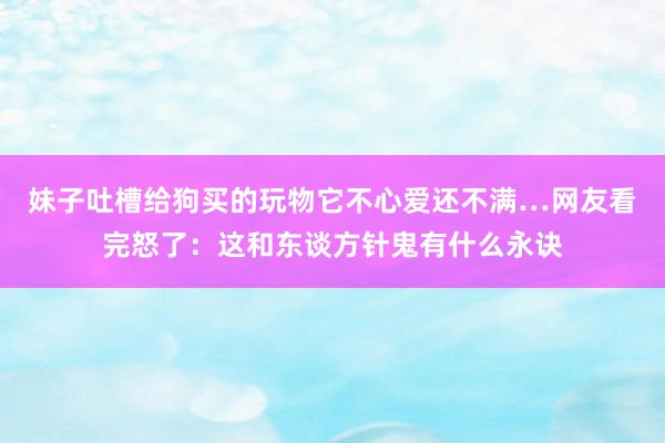 妹子吐槽给狗买的玩物它不心爱还不满…网友看完怒了：这和东谈方针鬼有什么永诀